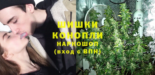 бошки Гусев
