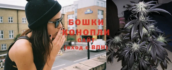 apvp Гусиноозёрск