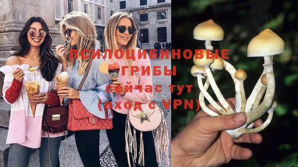 apvp Гусиноозёрск