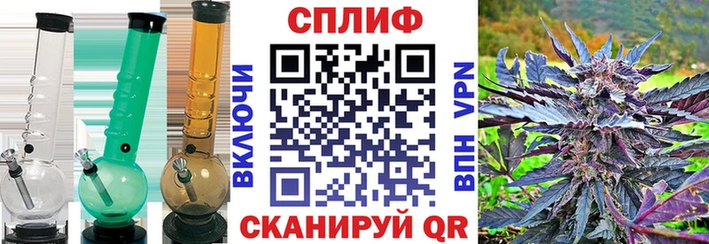 Купить  Малая Вишера  МАРИХУАНА Amnesia 